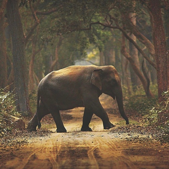 Meet your Posher, Judes - Picture 1 of 1